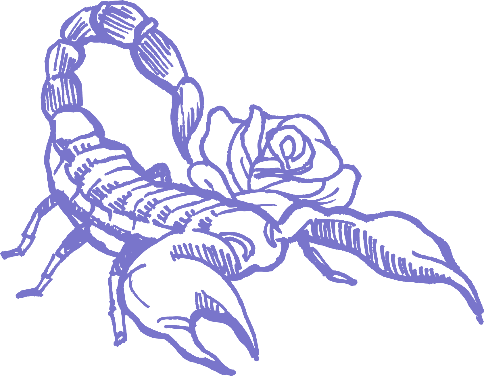 ♏ 天蠍座 10/23 - 11/21🦂